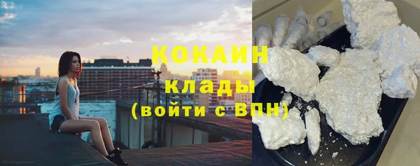 стаф Елизово