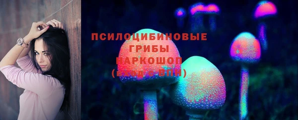 сатива Елабуга