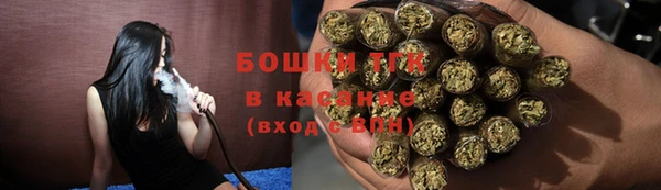 сатива Елабуга