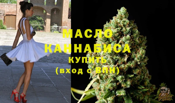 сатива Елабуга