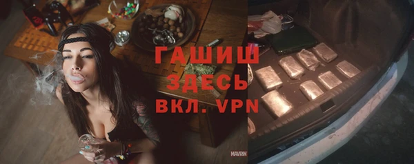 стаф Елизово