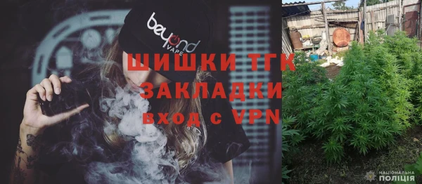 сатива Елабуга