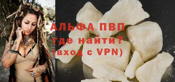 стаф Елизово