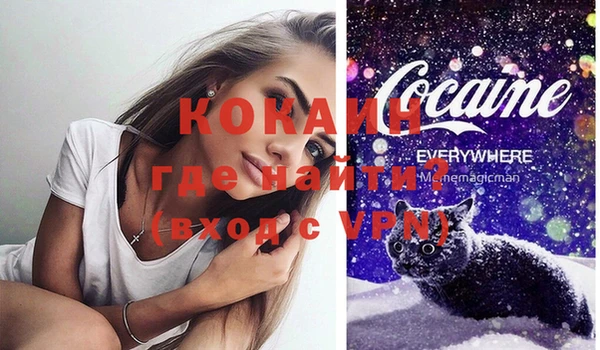 сатива Елабуга