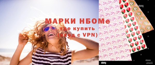 стаф Елизово